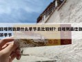 日喀则旅游什么季节去比较好？日喀则最佳旅游季节
