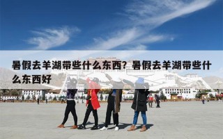 暑假去羊湖带些什么东西？暑假去羊湖带些什么东西好