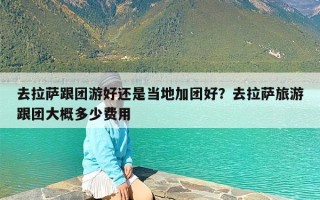 去拉萨跟团游好还是当地加团好？去拉萨旅游跟团大概多少费用