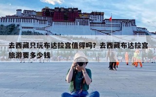 去西藏只玩布达拉宫值得吗？去西藏布达拉宫旅游要多少钱