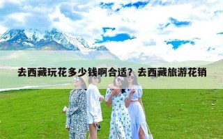 去西藏玩花多少钱啊合适？去西藏旅游花销