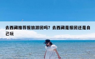 去西藏推荐报旅游团吗？去西藏是报团还是自己玩