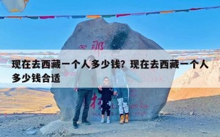 现在去西藏一个人多少钱？现在去西藏一个人多少钱合适