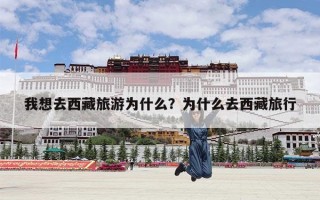 我想去西藏旅游为什么？为什么去西藏旅行