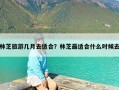 林芝旅游几月去适合？林芝最适合什么时候去