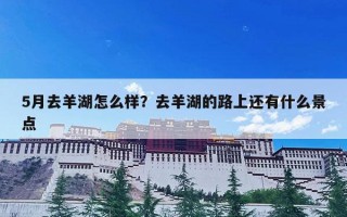 5月去羊湖怎么样？去羊湖的路上还有什么景点