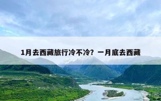 1月去西藏旅行冷不冷？一月底去西藏