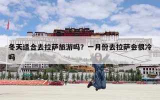 冬天适合去拉萨旅游吗？一月份去拉萨会很冷吗