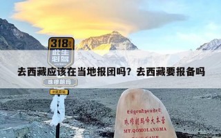 去西藏应该在当地报团吗？去西藏要报备吗