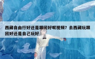 西藏自由行好还是跟团好呢视频？去西藏玩跟团好还是自己玩好