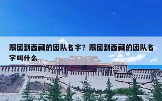 跟团到西藏的团队名字？跟团到西藏的团队名字叫什么