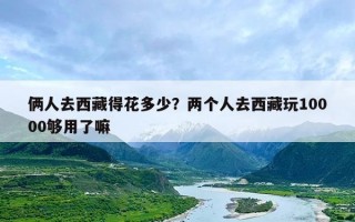 俩人去西藏得花多少？两个人去西藏玩10000够用了嘛