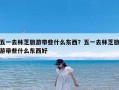 五一去林芝旅游带些什么东西？五一去林芝旅游带些什么东西好