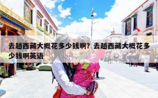 去趟西藏大概花多少钱啊？去趟西藏大概花多少钱啊英语