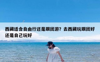 西藏适合自由行还是跟团游？去西藏玩跟团好还是自己玩好