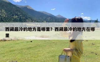 西藏最冷的地方是哪里？西藏最冷的地方在哪里