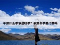 羊湖什么季节是旺季？羊湖冬季要门票吗