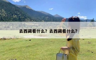 去西藏看什么？去西藏看什么?