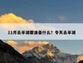 11月去羊湖要准备什么？冬天去羊湖
