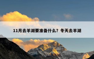 11月去羊湖要准备什么？冬天去羊湖