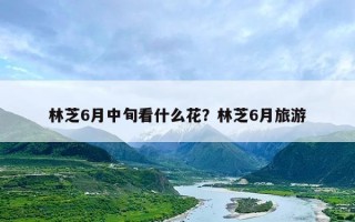 林芝6月中旬看什么花？林芝6月旅游