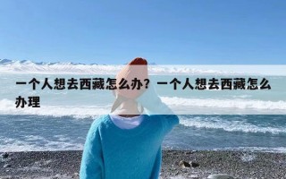 一个人想去西藏怎么办？一个人想去西藏怎么办理