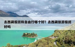 去西藏报团和自由行哪个好？去西藏旅游报团好吗