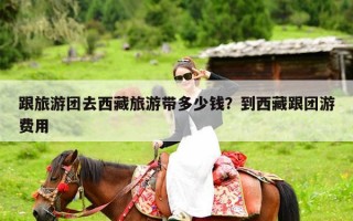 跟旅游团去西藏旅游带多少钱？到西藏跟团游费用