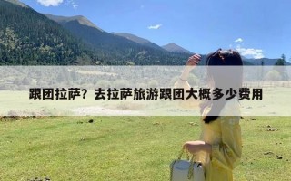 跟团拉萨？去拉萨旅游跟团大概多少费用