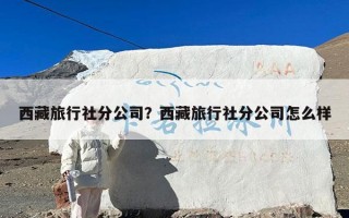 西藏旅行社分公司？西藏旅行社分公司怎么样