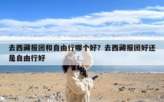 去西藏报团和自由行哪个好？去西藏报团好还是自由行好