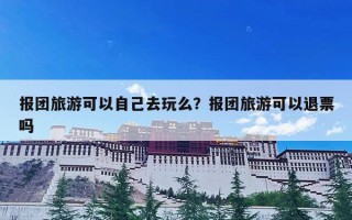 报团旅游可以自己去玩么？报团旅游可以退票吗