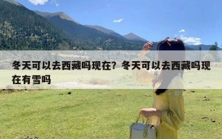 冬天可以去西藏吗现在？冬天可以去西藏吗现在有雪吗