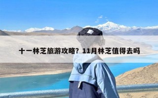 十一林芝旅游攻略？11月林芝值得去吗