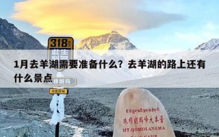 1月去羊湖需要准备什么？去羊湖的路上还有什么景点
