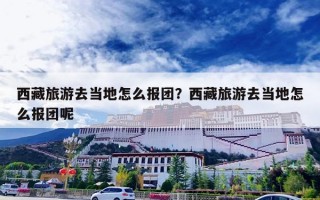 西藏旅游去当地怎么报团？西藏旅游去当地怎么报团呢