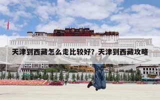 天津到西藏怎么走比较好？天津到西藏攻略