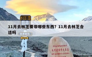 11月去林芝要带哪些东西？11月去林芝合适吗
