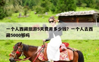 一个人西藏旅游5天费用多少钱？一个人去西藏5000够吗