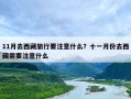 11月去西藏旅行要注意什么？十一月份去西藏需要注意什么