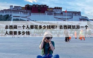 去西藏一个人要花多少钱呢？去西藏旅游一个人需要多少钱