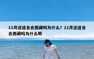 11月还适合去西藏吗为什么？11月还适合去西藏吗为什么呢
