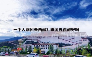 一个人跟团去西藏？跟团去西藏好吗
