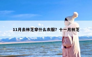 11月去林芝穿什么衣服？十一月林芝