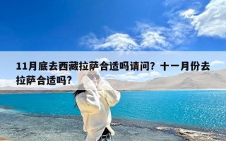 11月底去西藏拉萨合适吗请问？十一月份去拉萨合适吗?