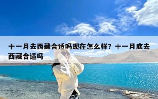 十一月去西藏合适吗现在怎么样？十一月底去西藏合适吗