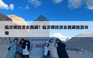 临沂跟团游去西藏？临沂跟团游去西藏旅游攻略