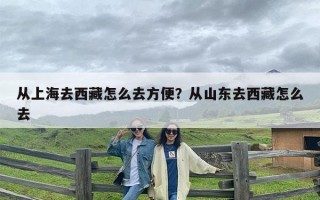 从上海去西藏怎么去方便？从山东去西藏怎么去