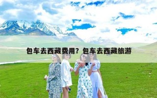 包车去西藏费用？包车去西藏旅游