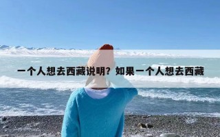 一个人想去西藏说明？如果一个人想去西藏